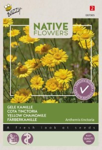 Anthemis tinctoria, semená kvetov, kvety na sušenie, rumanovec, žlté kvety,